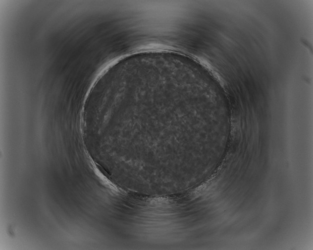 X0000097871421200803281151