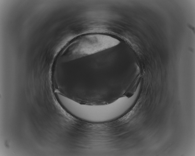 X0000097871422200803281151