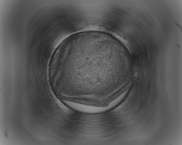X0000097871423200803281151