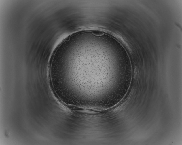 X0000097871424200803281151