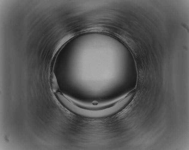 X0000097871426200803281151