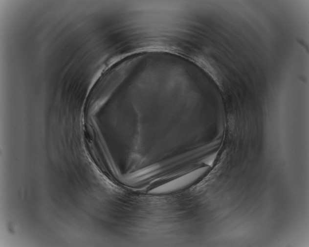 X0000097871428200803281151