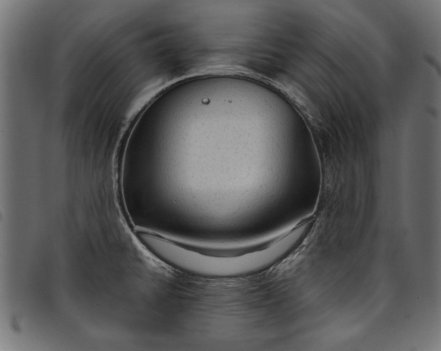 X0000097871430200803281151