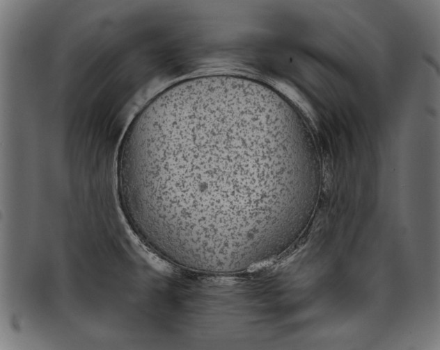X0000097871431200803281151