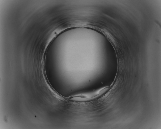 X0000097871432200803281151