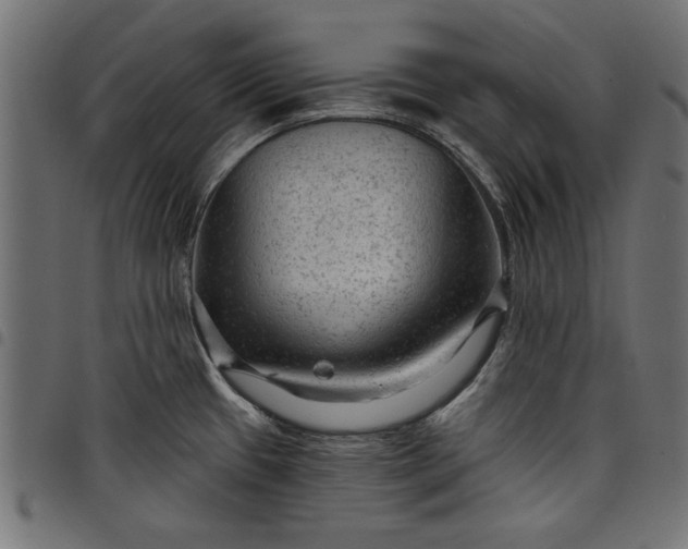 X0000097871433200803281151