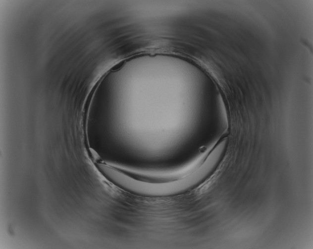 X0000097871434200803281151