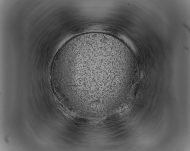X0000097871435200803281151