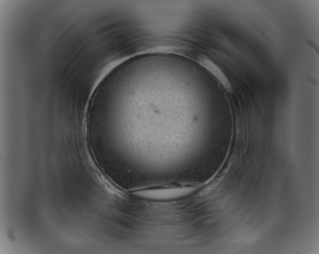 X0000097871436200803281151