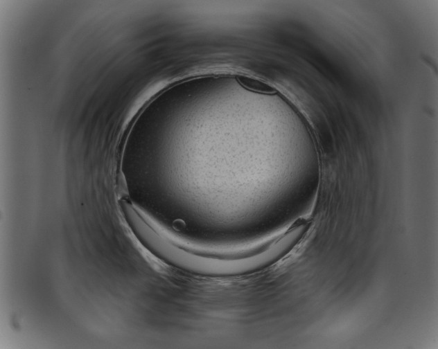 X0000097871438200803281151