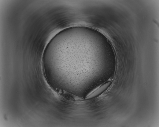 X0000097871440200803281151