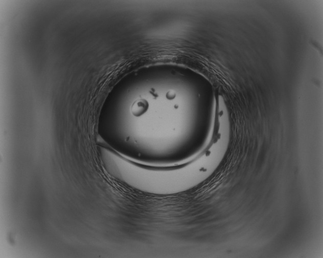 X0000097871441200803281151