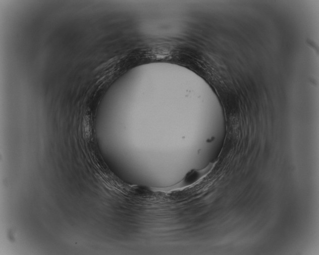 X0000097871442200803281151