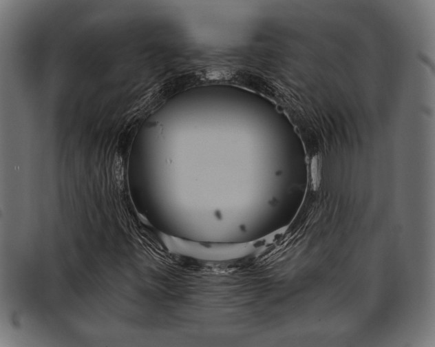 X0000097871443200803281151