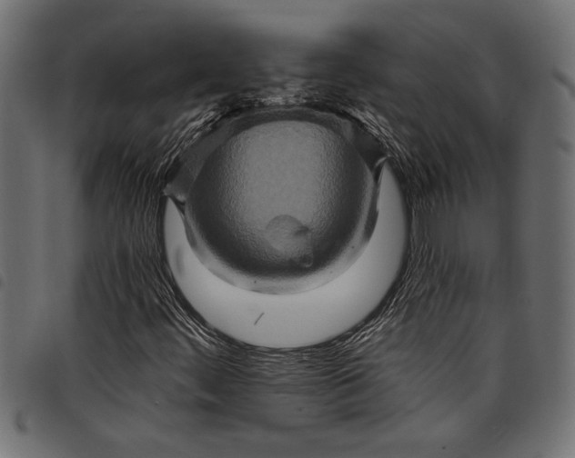 X0000097871444200803281151