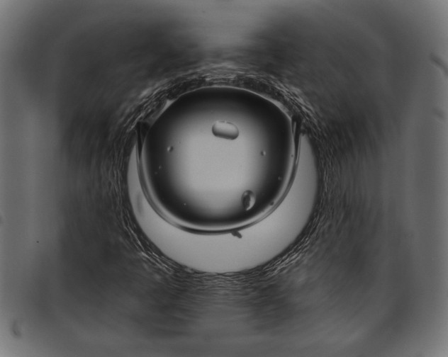 X0000097871445200803281151
