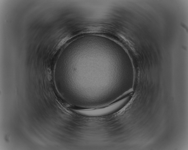 X0000097871449200803281150