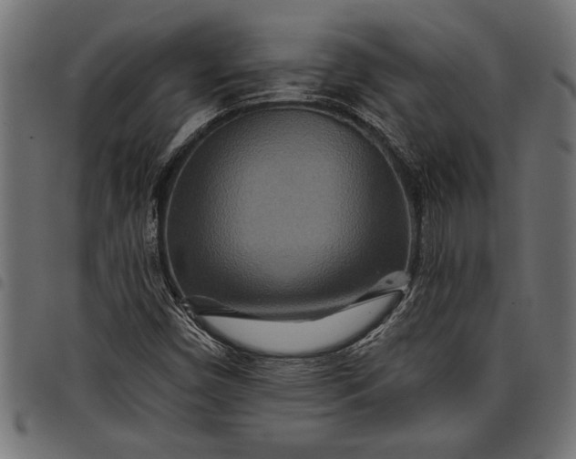 X0000097871450200803281150