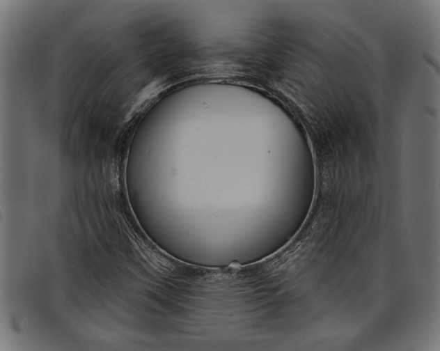 X0000097871451200803281150