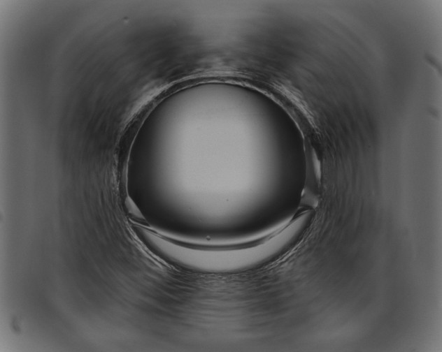 X0000097871452200803281150