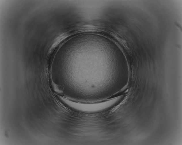 X0000097871453200803281150