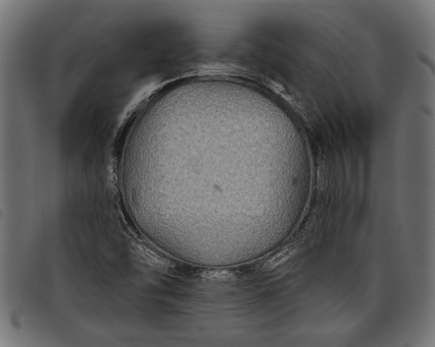 X0000097871454200803281150