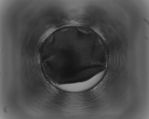 X0000097871455200803281150