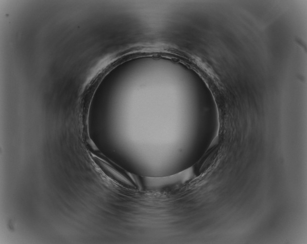 X0000097871456200803281150
