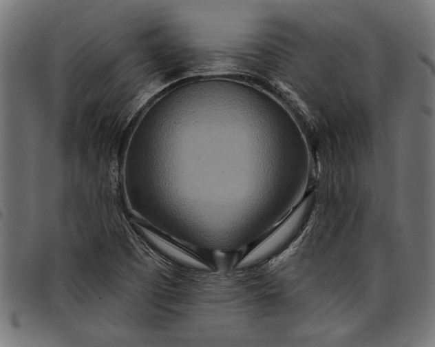 X0000097871457200803281150