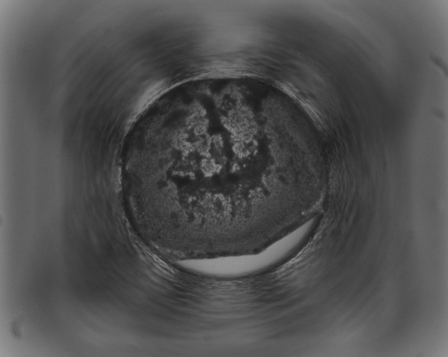 X0000097871459200803281150