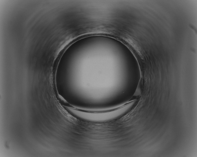 X0000097871460200803281150