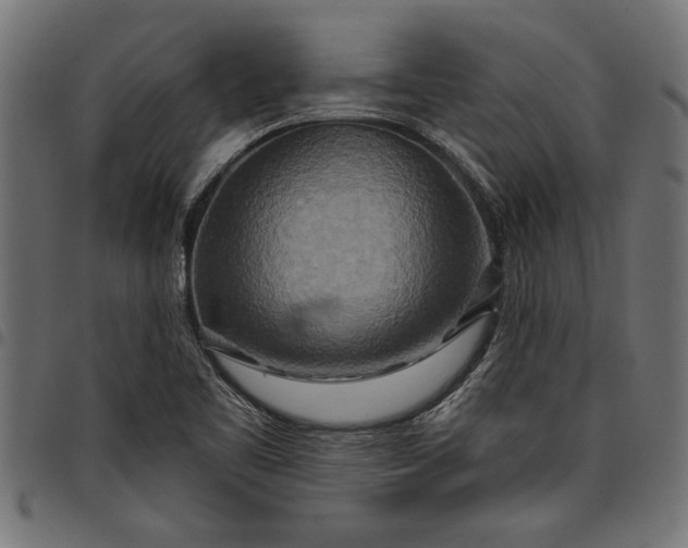 X0000097871461200803281150