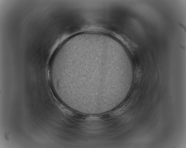 X0000097871462200803281150