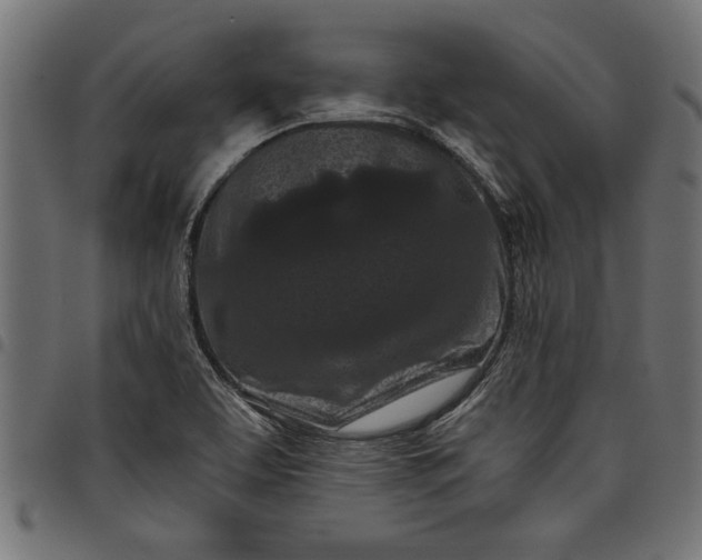 X0000097871463200803281150