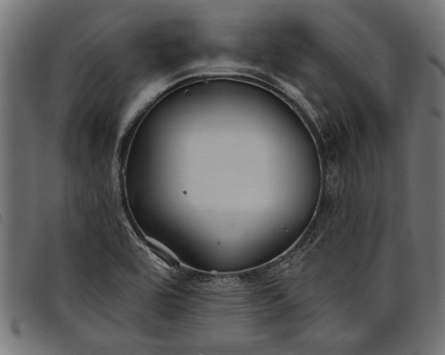 X0000097871464200803281150