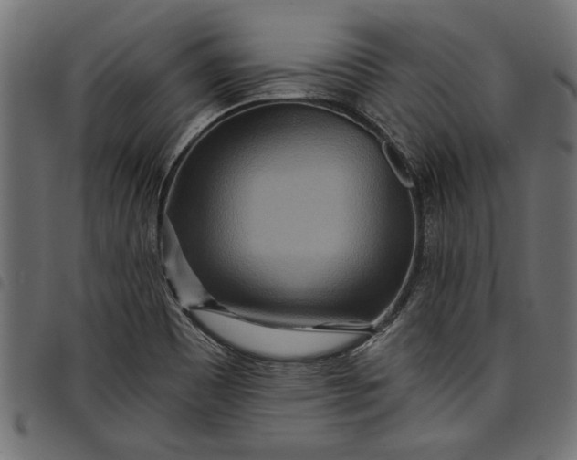 X0000097871465200803281150