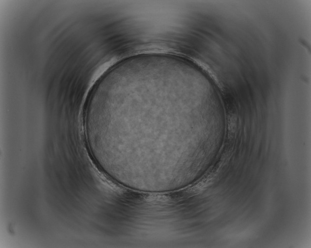 X0000097871466200803281150