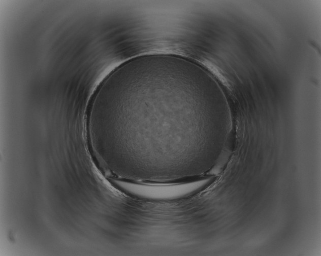 X0000097871468200803281150