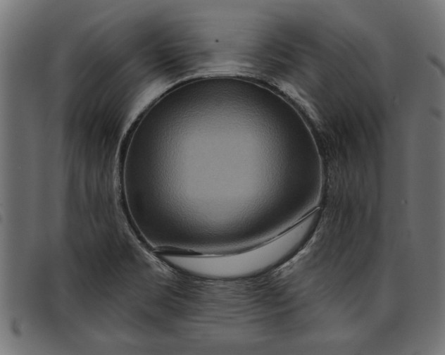 X0000097871469200803281150