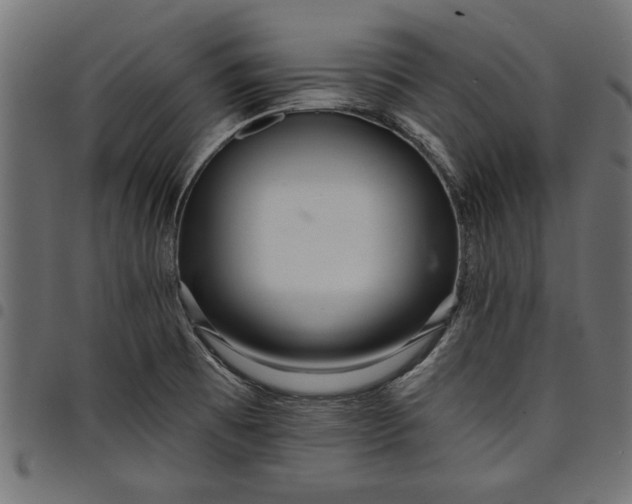 X0000097871473200803281150