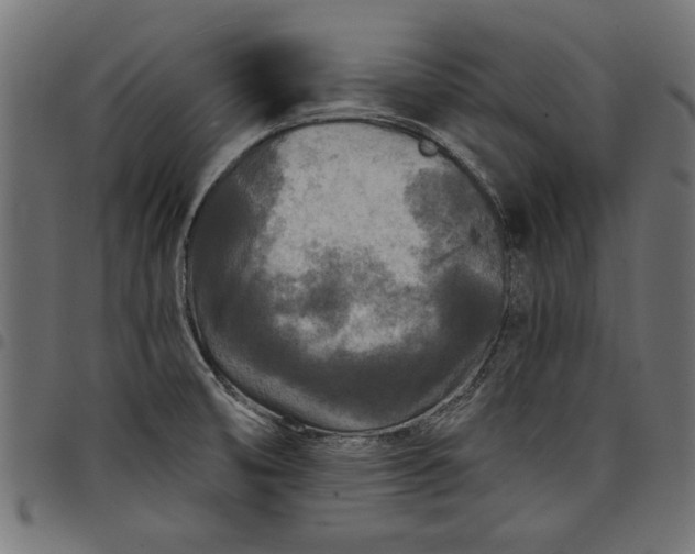X0000097871474200803281150