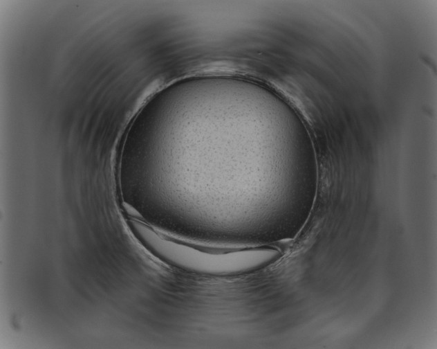X0000097871475200803281150
