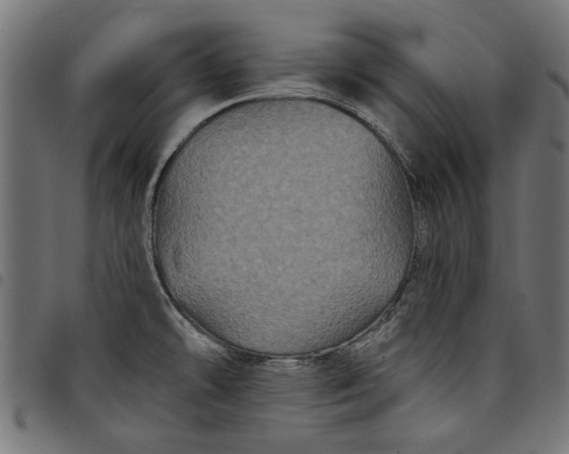 X0000097871478200803281150