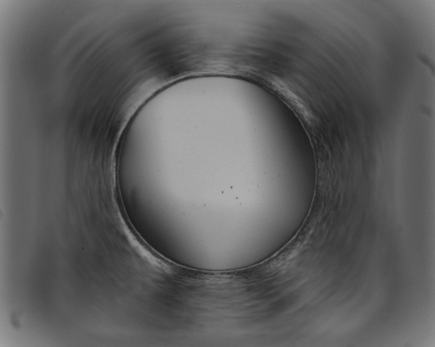 X0000097871479200803281150