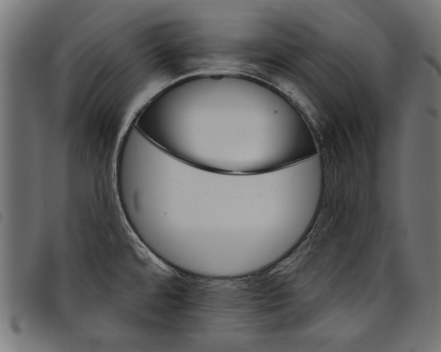 X0000097871480200803281150