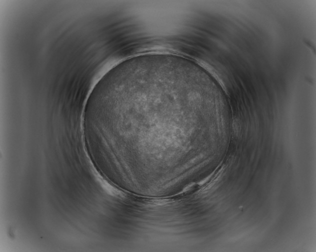 X0000097871482200803281150