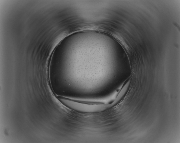 X0000097871483200803281150