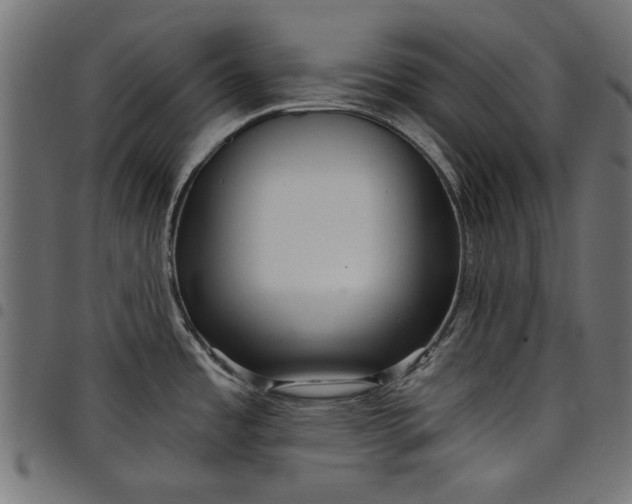 X0000097871485200803281150