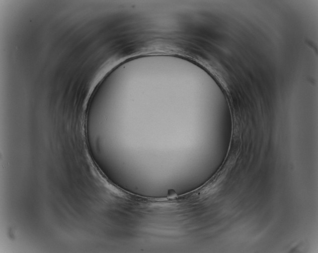X0000097871486200803281150