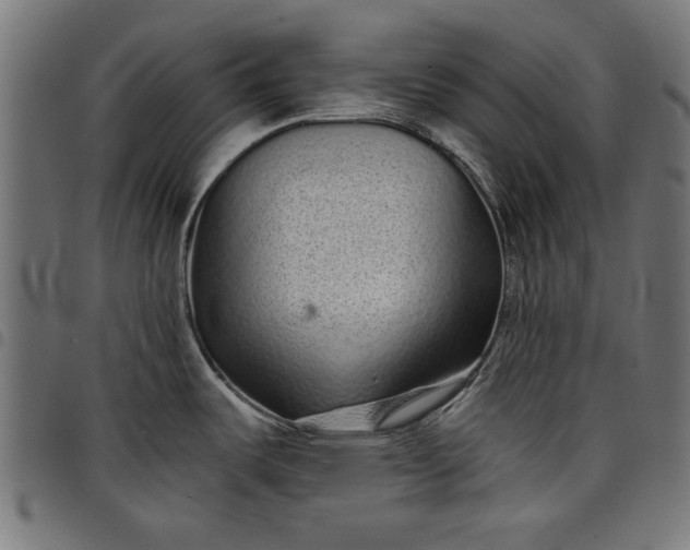 X0000097871487200803281150